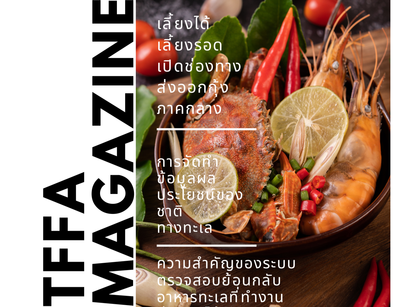  TFFA MAGAZINE ประจำเดือนกรกฎาคม ปี 2566